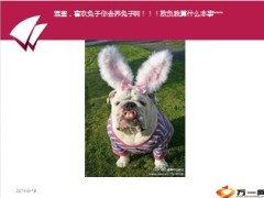 每日快乐早会2014年2月21日使用9页.ppt