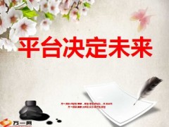 平台决定未来增员版29页.ppt
