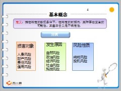 2014版保险原理24页.ppt