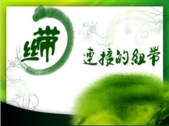 绿丝带训前会开训43页.ppt