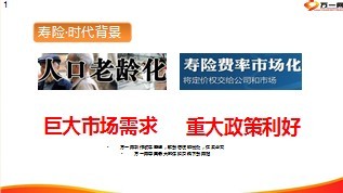 费率市场化下的养老问题33页.ppt