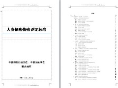 人身保险伤残评定标准13页.doc