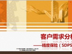 精度保险SDPS图解客户需求37页.ppt