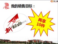 合众人寿两享销售精英分享5页.ppt