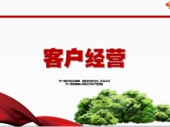 客户经营关系营销12页.ppt