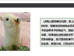 每日快乐早会2014年3月7日使用9页.ppt