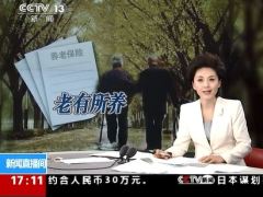 视频2014两会养老金双轨制要并怎么并.zip