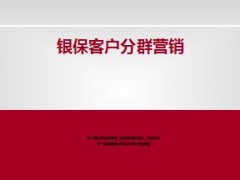 银保客户分群营销27页.ppt