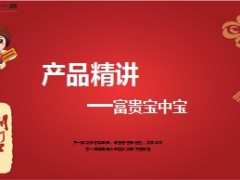 生命人寿富贵宝中宝精讲37页.ppt