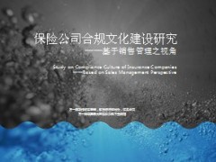 保险公司合规文化构建13页.ppt