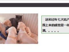 每日快乐早会2014年3月12日使用10页.ppt