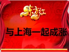 太平洋东方红保险上海自贸区39页.ppt