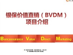 银保价值直销BVDM项目介绍23页.ppt