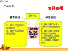 国寿E家吉祥送福综合意外伤害保险介绍28页.ppt