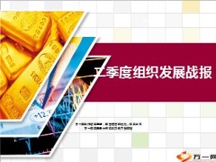 二季度组织发展战报11页.ppt