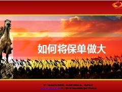 如何将保单做大20页.ppt