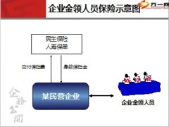 高额保单企业金领人员保险计划12页.ppt