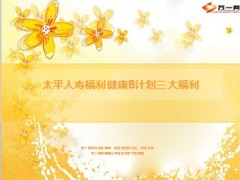 太平人寿福利健康B计划三大福利13页.ppt
