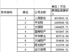 2014前两月财产保险公司保费收入排行表.xls