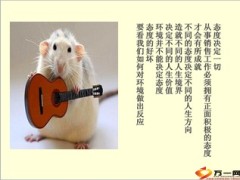 保险本质爱责任关怀承诺8页.ppt