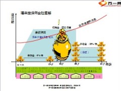 合众人寿福来宝年金保险图示利益3页.ppt