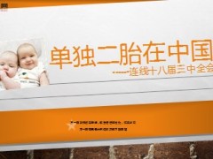 单独二胎与养老保险17页.ppt
