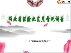 湖北省保险业发展情况调查21页.ppt