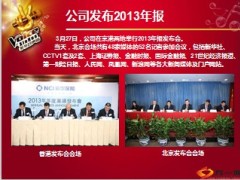 2013年新华保险年报业绩发布专题18页.ppt