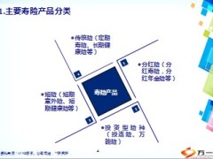互联网保险发展趋势26页.ppt