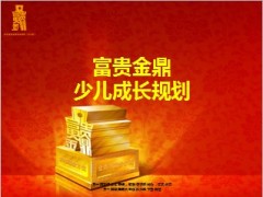 民生富贵金鼎少儿成长规划12页.ppt