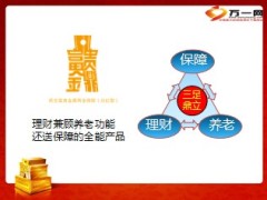 民生富贵金鼎购买十大理由13页.ppt