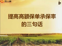 提高高额保单承保率的三句话16页.ppt