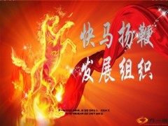 新华组织发展基本法精华48页.ppt