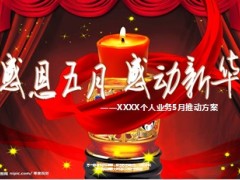 2014年5月母亲节推动方案38页.ppt