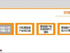 高端客户购买保险四理由六策略35页.ppt