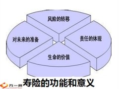 五张图让你真正了解保险8页.ppt