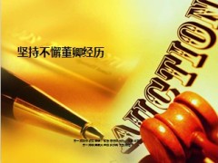 坚持不懈董卿经历11页.ppt