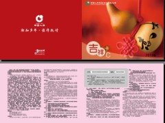 中国人寿激活卡吉祥卡C款200元样式.rar
