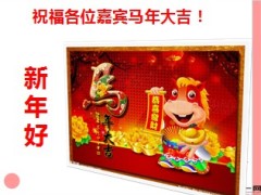 2014意外重疾养老客户答谢会国寿全能瑞鑫39页.ppt