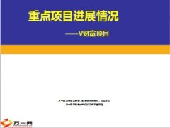 银保V财富项目意义实施措施业绩追踪要求36页.ppt