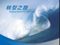 太平洋保险2013年度报告年报200页.rar