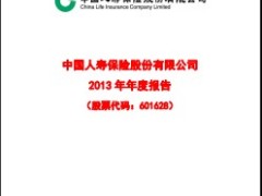 中国人寿2013年年度报告年报238页.rar