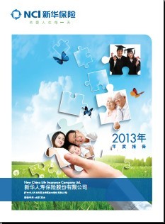 新华保险2013年年报年度报告245页.rar