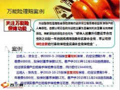 理赔之窗范本8页.PPT