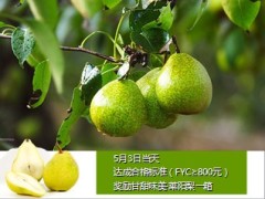 2014年5月业务方案9页.ppt