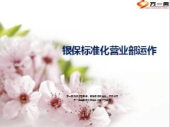 银保标准化营业部运作44页.ppt