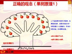 增员正确的观念果树原理10页.ppt