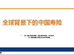 全球背景下的中国寿险8页.ppt