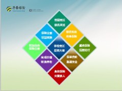 华泰新产品百万康宁特色篇13页.ppt