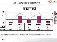 2014年度KPI经营分析报告17页.ppt